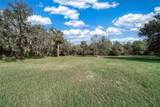 3788 Armadillo Trail - Photo 57