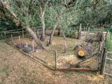 3788 Armadillo Trail - Photo 62