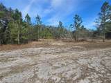 0 Portulaca Drive - Photo 2