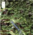 391 Longhorn Drive - Photo 3