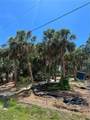 141 Hoffer Street - Photo 3