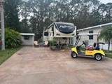 447 Pine Loop - Photo 2