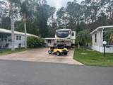 447 Pine Loop - Photo 3