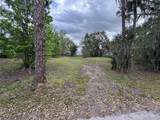 5011 Pineapple Street - Photo 13