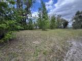 5011 Pineapple Street - Photo 15