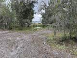 5011 Pineapple Street - Photo 19