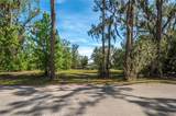 5011 Pineapple Street - Photo 29