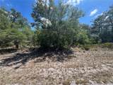  Oleander Drive - Photo 1
