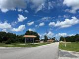  Oleander Drive - Photo 12