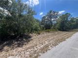  Oleander Drive - Photo 4
