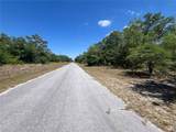  Oleander Drive - Photo 6