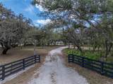 3805 Mammoth Grove Road - Photo 2