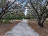 3805 Mammoth Grove Road - Photo 69