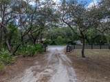 3805 Mammoth Grove Road - Photo 70
