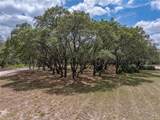 3805 Mammoth Grove Road - Photo 71