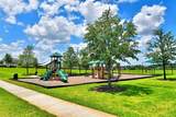 710 Persian Drive - Photo 14