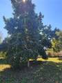 5702 Breskin Drive - Photo 19