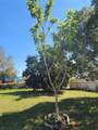 5702 Breskin Drive - Photo 22
