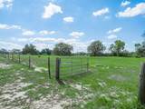 1850 Lake Reedy Boulevard - Photo 31