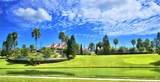 445 Waterfern Trail Drive - Photo 77