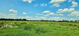  Mammoth Grove Road - Photo 6