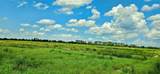  Mammoth Grove Road - Photo 7