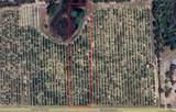  Mammoth Grove Road - Photo 1