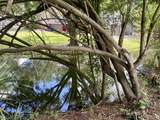 1790 Turtle Rock Drive - Photo 40