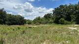  Abundant Life Drive - Photo 7