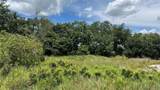  Abundant Life Drive - Photo 9