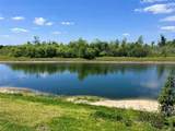559 Waterfern Trail Drive - Photo 19