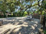 316 Roan (Gator Alley) Road - Photo 10