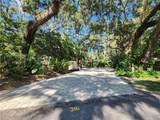 316 Roan (Gator Alley) Road - Photo 2