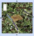 316 Roan (Gator Alley) Road - Photo 3