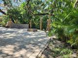 316 Roan (Gator Alley) Road - Photo 8