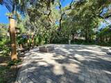 316 Roan (Gator Alley) Road - Photo 9