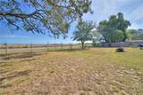 1813 Pauline Drive - Photo 46