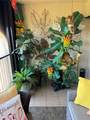 23465 Harborview Road - Photo 39