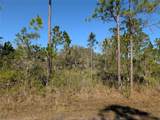 206 Ixora Drive - Photo 5