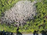  Green Pond Road - Photo 3