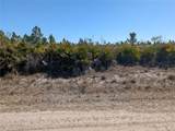 1211 Pinnata Drive - Photo 1
