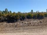 1211 Pinnata Drive - Photo 8
