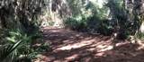  Lake Reedy Boulevard - Photo 2