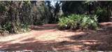  Lake Reedy Boulevard - Photo 5