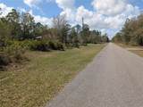 817 Poinciana Drive - Photo 5