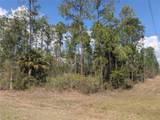 802 Althea Drive - Photo 1