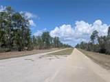 802 Althea Drive - Photo 3