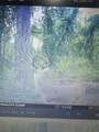  Gillette Road - Photo 75