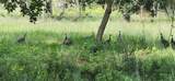  Gillette Road - Photo 79