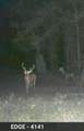  Gillette Road - Photo 82